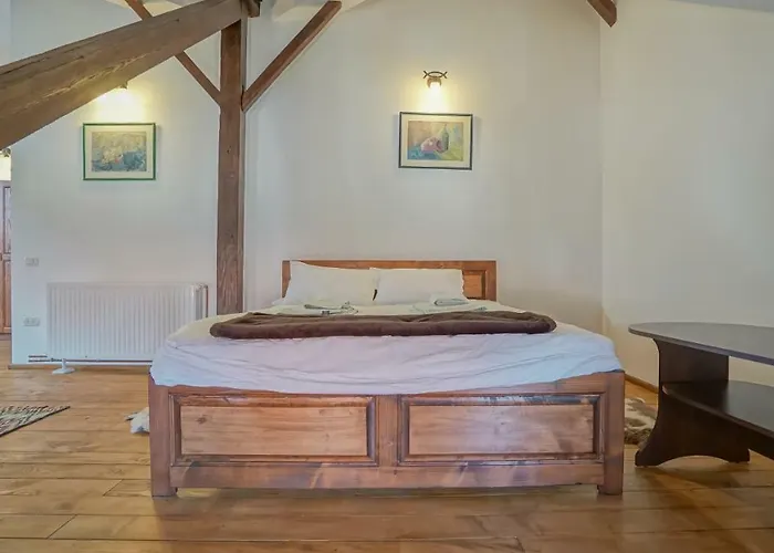 Apartment Baiulescu *